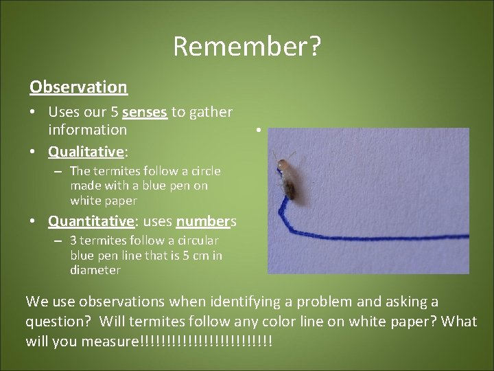 Remember? Observation • Uses our 5 senses to gather information • Qualitative: • –