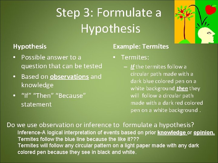 Step 3: Formulate a Hypothesis Example: Termites • Possible answer to a question that