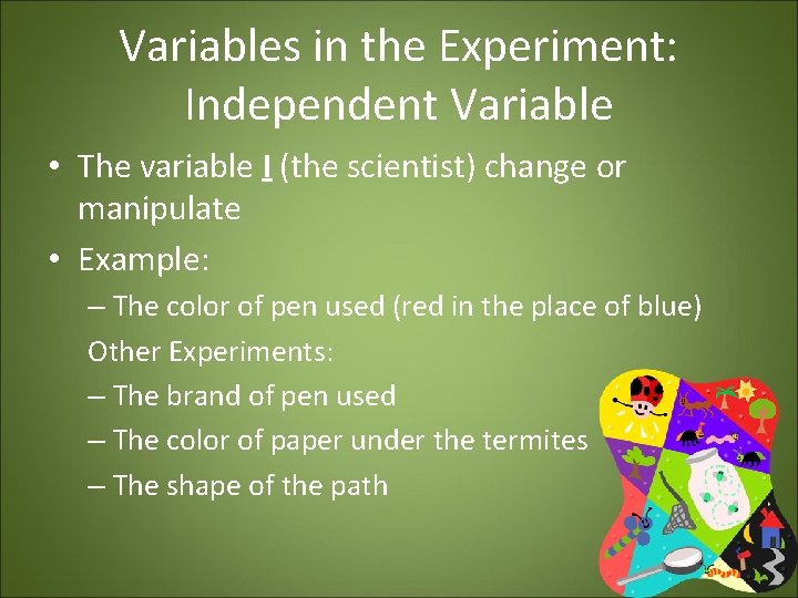 Variables in the Experiment: Independent Variable • The variable I (the scientist) change or