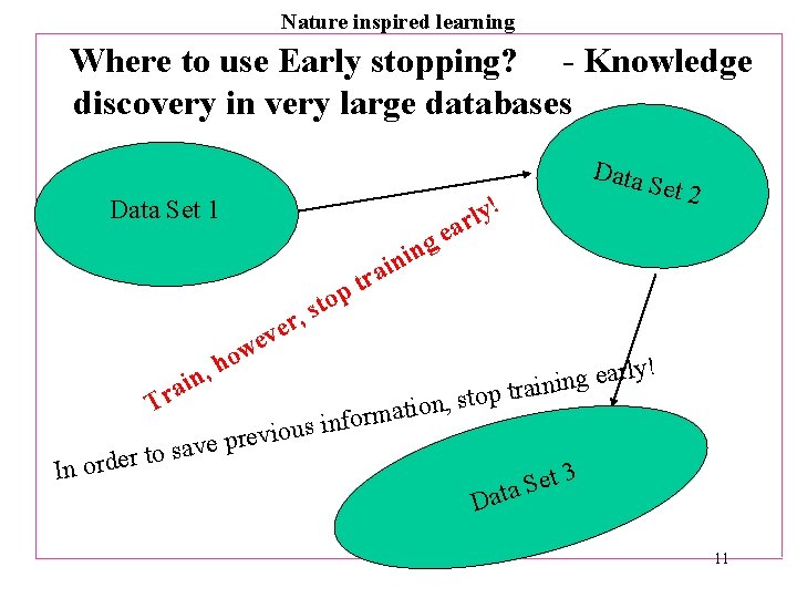 Nature inspired learning Where to use Early stopping? - Knowledge discovery in very large