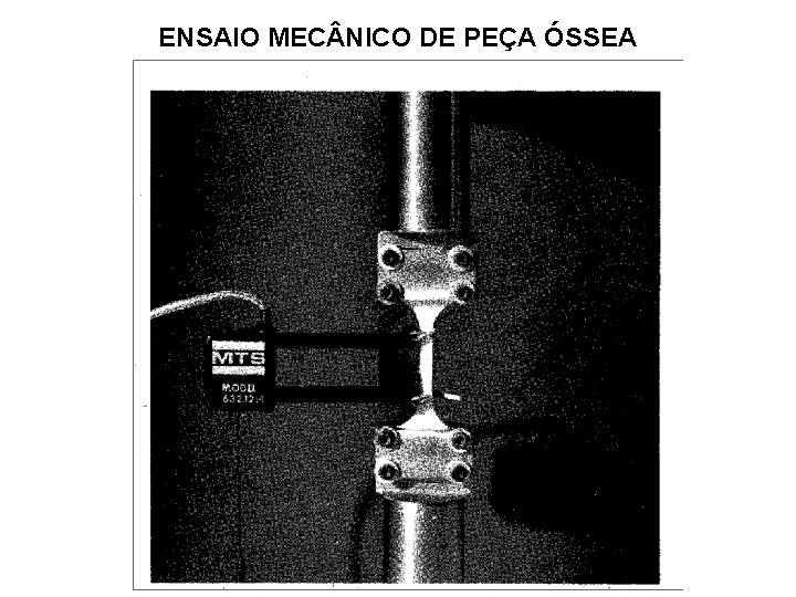 ENSAIO MEC NICO DE PEÇA ÓSSEA 