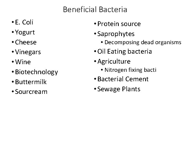 Beneficial Bacteria • E. Coli • Yogurt • Cheese • Vinegars • Wine •