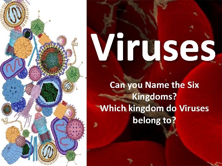 Viruses Can you Name the Six Kingdoms? Which kingdom do Viruses belong to? 