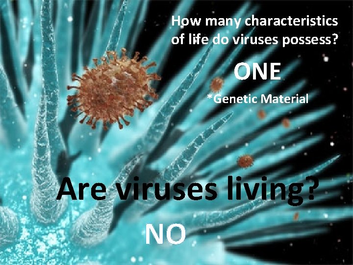 How many characteristics of life do viruses possess? ONE *Genetic Material Are viruses living?