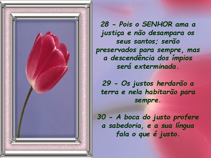 28 - Pois o SENHOR ama a justiça e não desampara os seus santos;