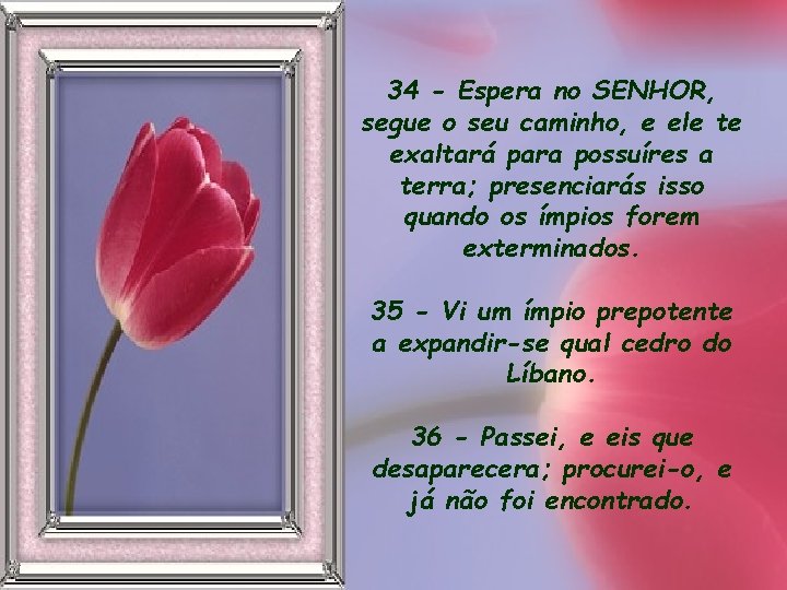 34 - Espera no SENHOR, segue o seu caminho, e ele te exaltará para