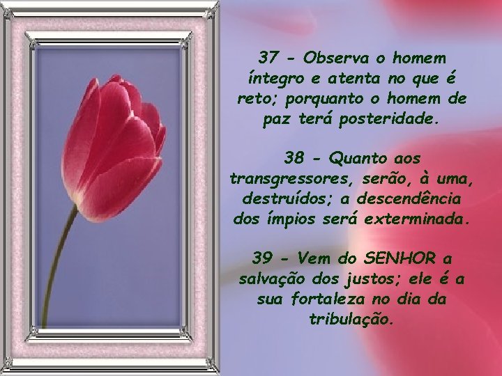 37 - Observa o homem íntegro e atenta no que é reto; porquanto o