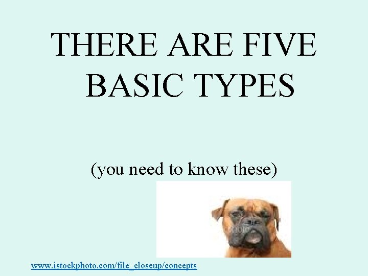 THERE ARE FIVE BASIC TYPES (you need to know these) www. istockphoto. com/file_closeup/concepts THERE ARE FIVE BASIC TYPES (you need to know these) www. istockphoto. com/file_closeup/concepts