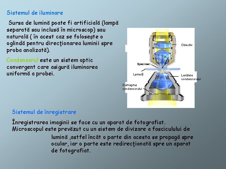 Sistemul de iluminare Sursa de lumină poate fi artificială (lampă separată sau inclusă în