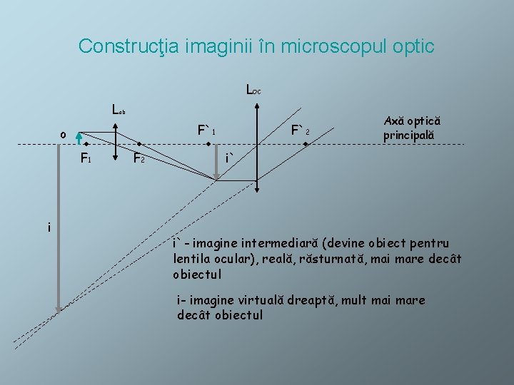 Construcţia imaginii în microscopul optic LOC Lob F`1 o F 1 i F 2