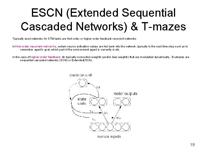 ESCN (Extended Sequential Cascaded Networks) & T-mazes Typically used networks for STM tasks are