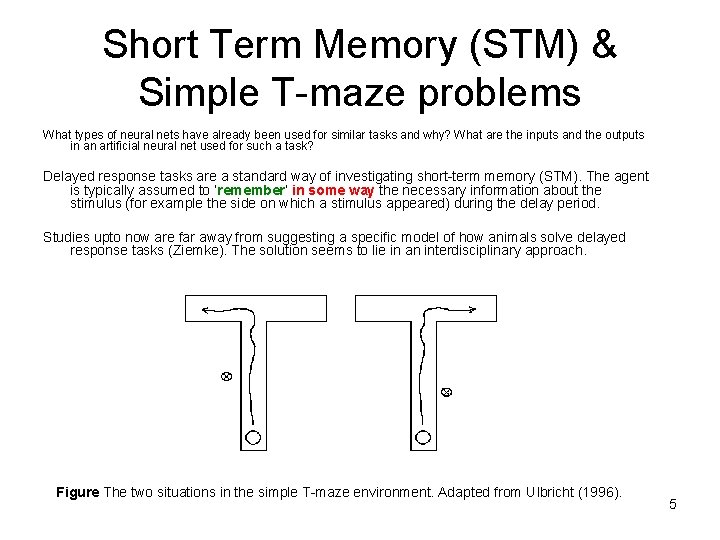 Short Term Memory (STM) & Simple T-maze problems What types of neural nets have