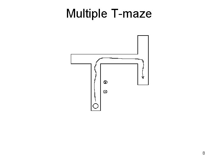 Multiple T-maze 8 