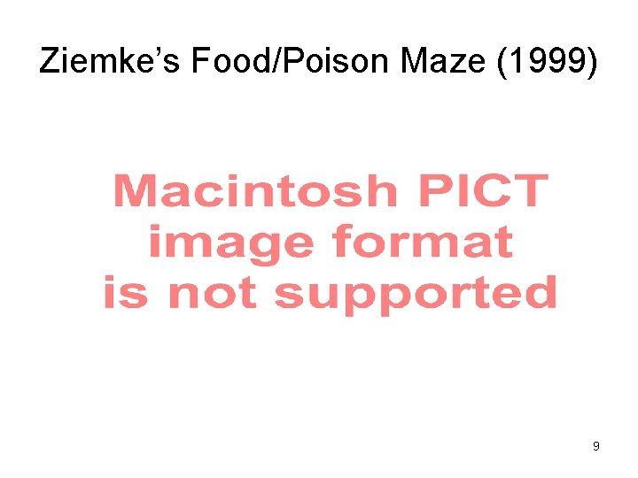 Ziemke’s Food/Poison Maze (1999) 9 