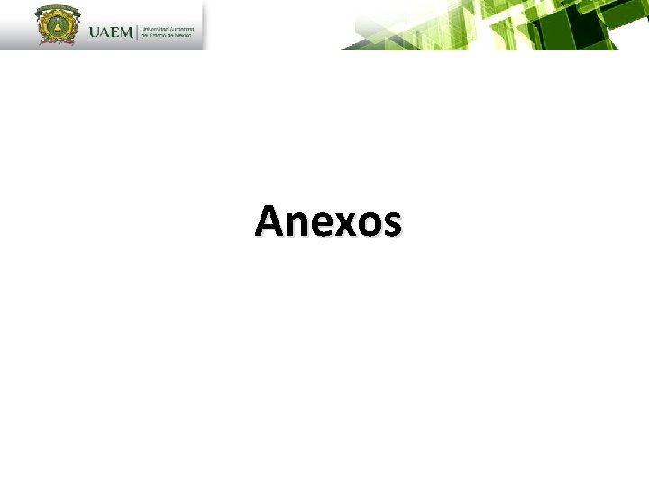 Anexos 