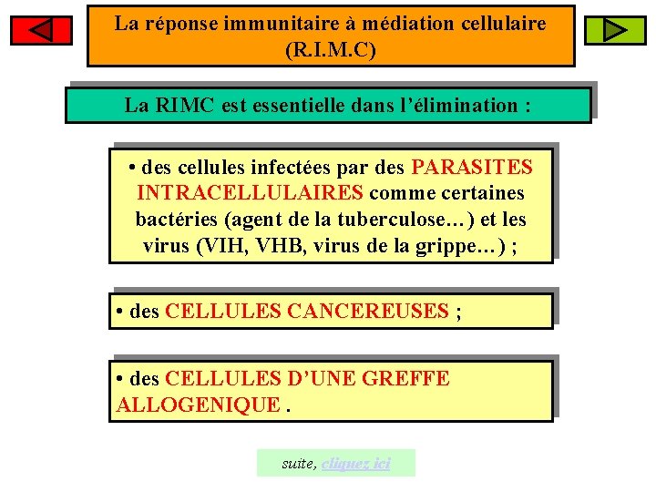 La réponse immunitaire à médiation cellulaire (R. I. M. C) La RIMC est essentielle