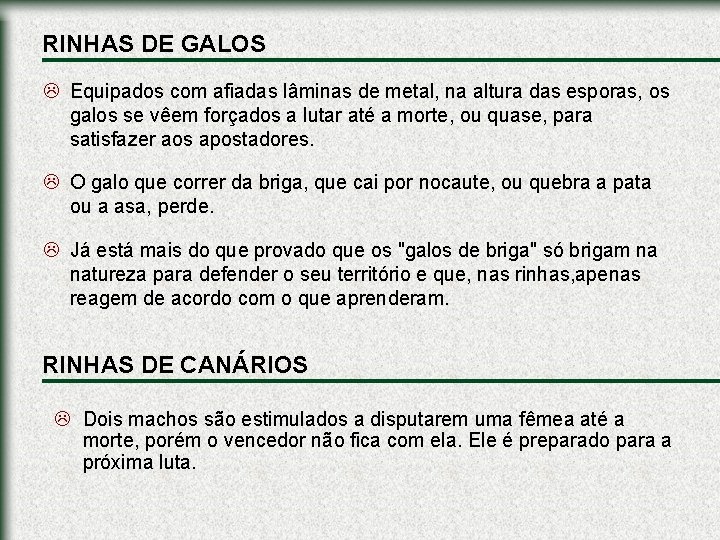 RINHAS DE GALOS L Equipados com afiadas lâminas de metal, na altura das esporas,