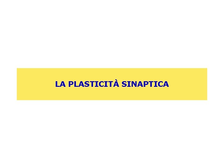 LA PLASTICITÀ SINAPTICA 