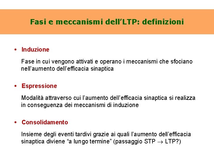 Fasi e meccanismi dell’LTP: definizioni • Induzione Fase in cui vengono attivati e operano