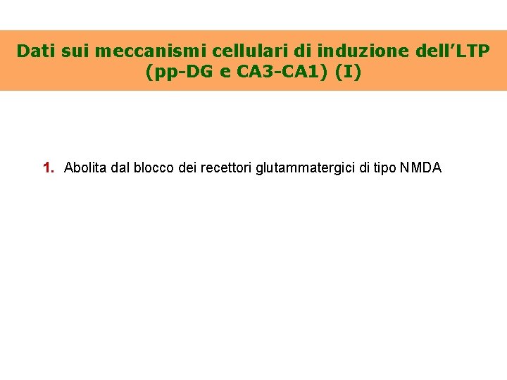 Dati sui meccanismi cellulari di induzione dell’LTP (pp-DG e CA 3 -CA 1) (I)