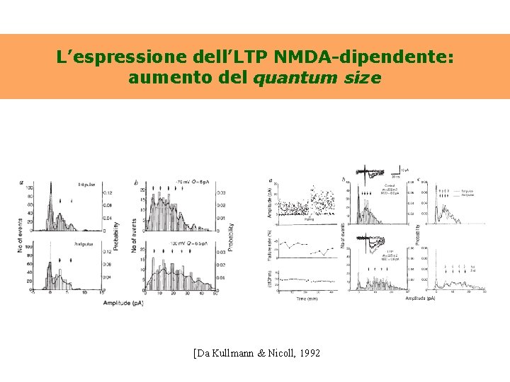 L’espressione dell’LTP NMDA-dipendente: aumento del quantum size [Da Kullmann & Nicoll, 1992 