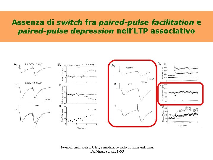 Assenza di switch fra paired-pulse facilitation e paired-pulse depression nell’LTP associativo Neuroni piramidali di