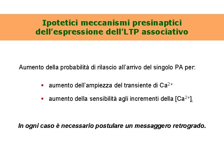 Ipotetici meccanismi presinaptici dell’espressione dell’LTP associativo Aumento della probabilità di rilascio all’arrivo del singolo