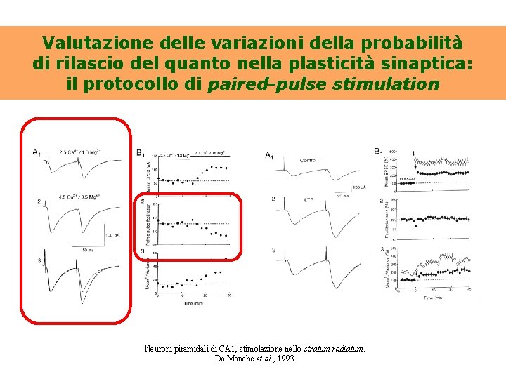 Valutazione delle variazioni della probabilità di rilascio del quanto nella plasticità sinaptica: il protocollo