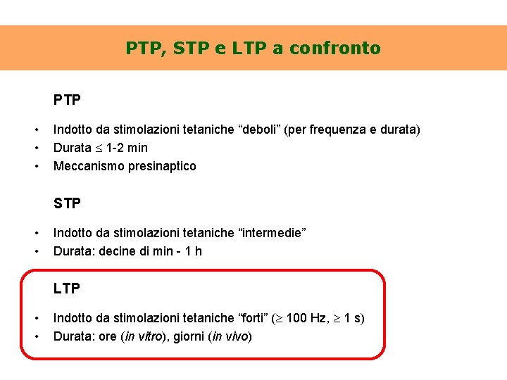 PTP, STP e LTP a confronto PTP • • • Indotto da stimolazioni tetaniche