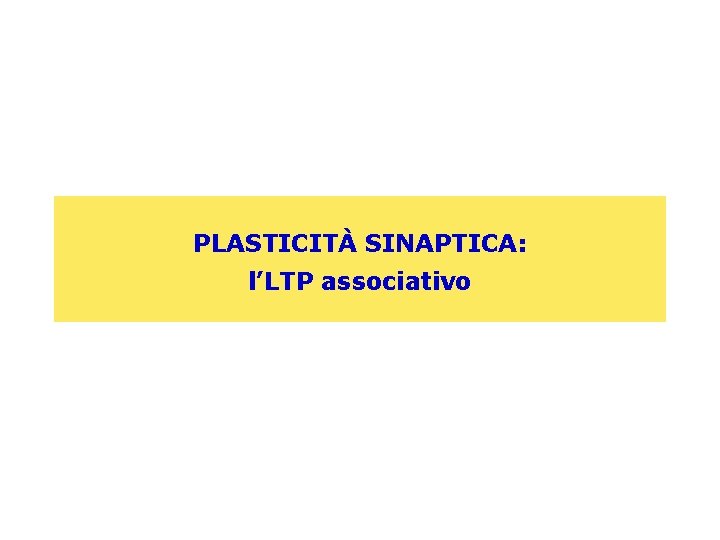 PLASTICITÀ SINAPTICA: l’LTP associativo 