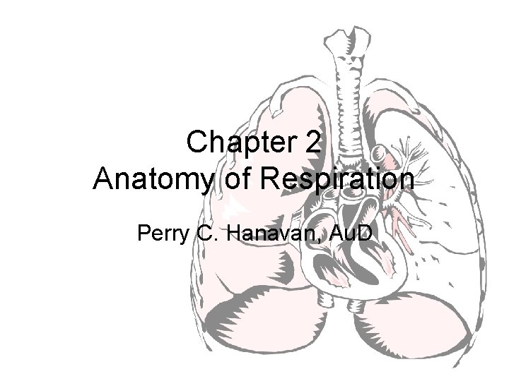 Chapter 2 Anatomy of Respiration Perry C. Hanavan, Au. D 