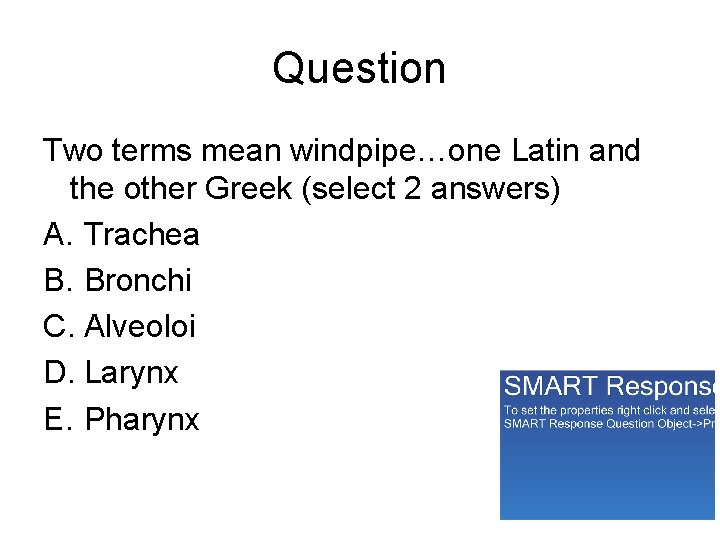 Question Two terms mean windpipe…one Latin and the other Greek (select 2 answers) A.
