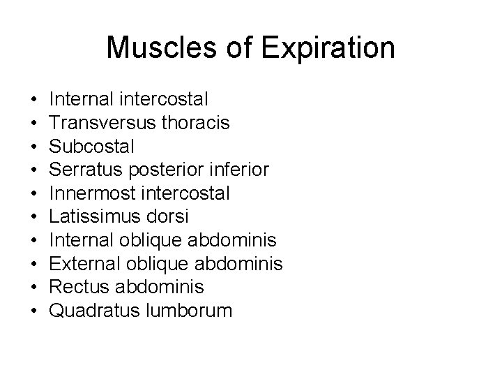 Muscles of Expiration • • • Internal intercostal Transversus thoracis Subcostal Serratus posterior inferior