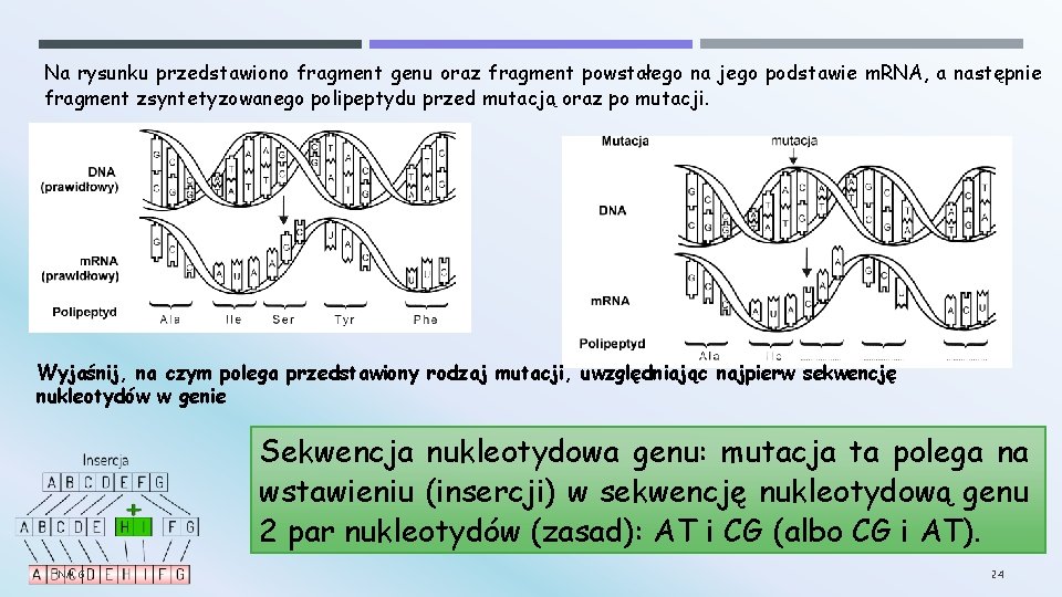 Na rysunku przedstawiono fragment genu oraz fragment powstałego na jego podstawie m. RNA, a