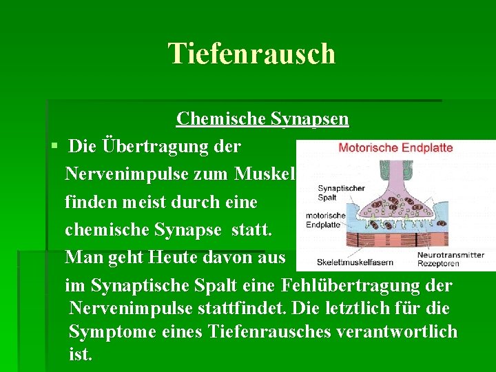 Tiefenrausch Chemische Synapsen § Die Übertragung der Nervenimpulse zum Muskel finden meist durch eine