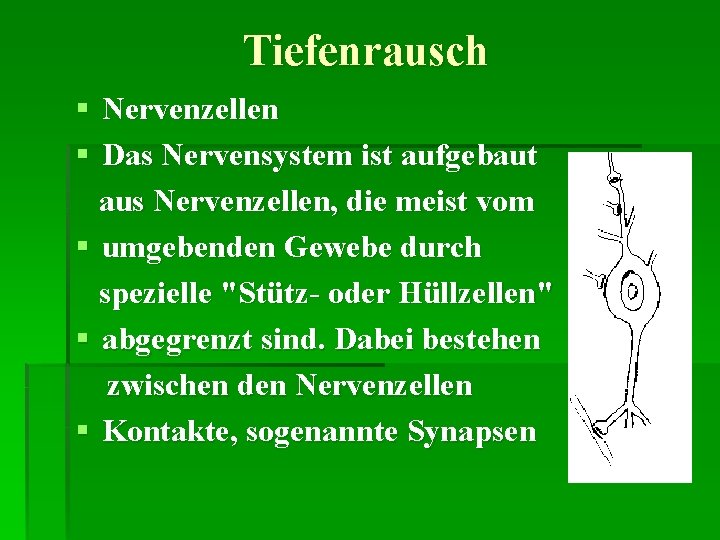 Tiefenrausch § Nervenzellen § Das Nervensystem ist aufgebaut aus Nervenzellen, die meist vom §