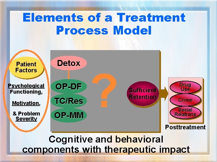 Elements of a Treatment Process Model Patient Factors Detox Psychological Functioning, OP-DF Motivation, TC/Res