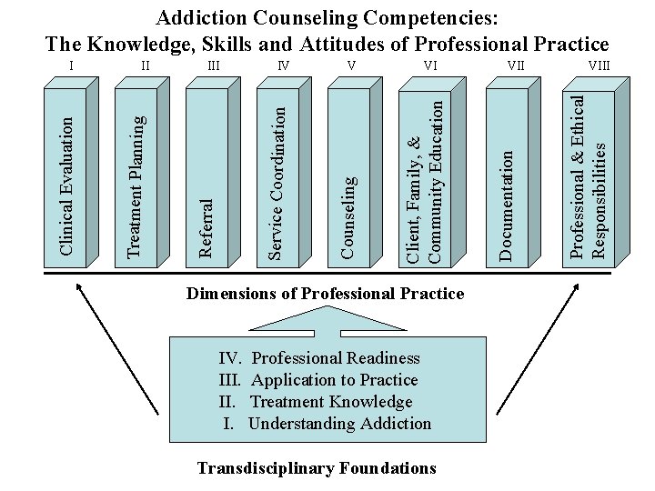 Dimensions of Professional Practice IV. Professional Readiness III. Application to Practice II. Treatment Knowledge