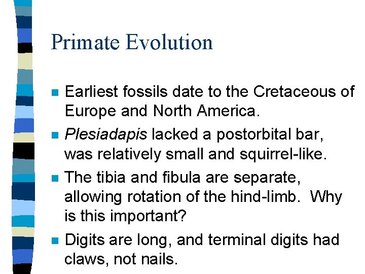 Primate Evolution n n Earliest fossils date to the Cretaceous of Europe and North