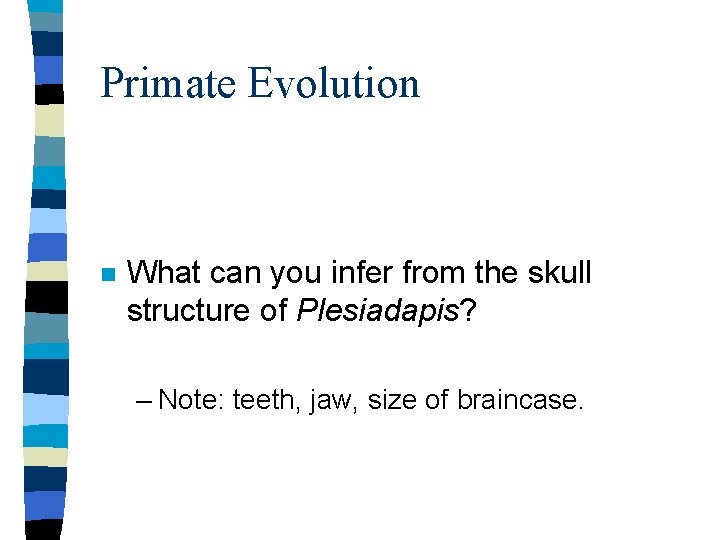 Primate Evolution n What can you infer from the skull structure of Plesiadapis? –