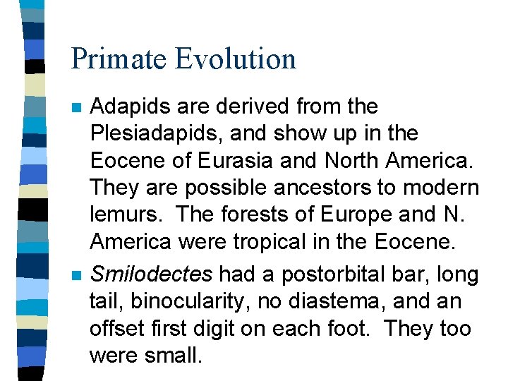Primate Evolution n n Adapids are derived from the Plesiadapids, and show up in