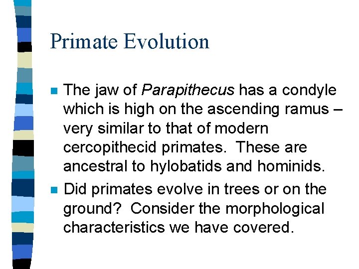 Primate Evolution n n The jaw of Parapithecus has a condyle which is high