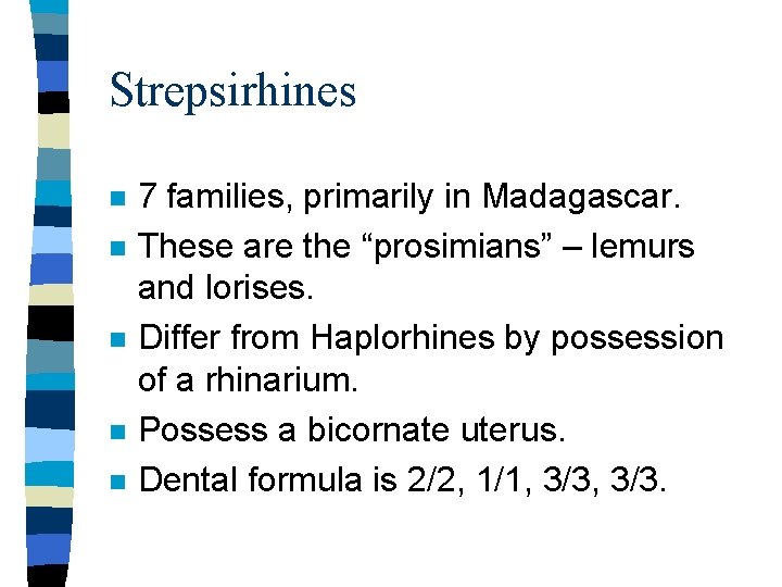 Strepsirhines n n n 7 families, primarily in Madagascar. These are the “prosimians” –