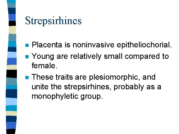 Strepsirhines n n n Placenta is noninvasive epitheliochorial. Young are relatively small compared to