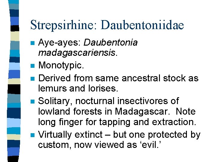 Strepsirhine: Daubentoniidae n n n Aye-ayes: Daubentonia madagascariensis. Monotypic. Derived from same ancestral stock