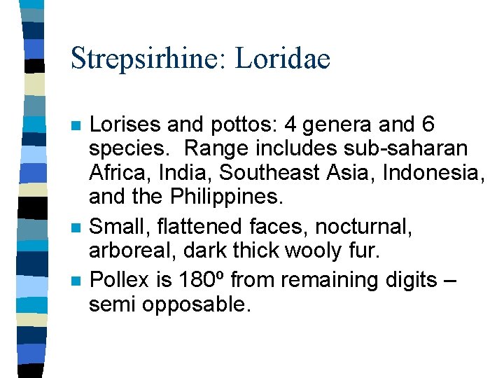 Strepsirhine: Loridae n n n Lorises and pottos: 4 genera and 6 species. Range