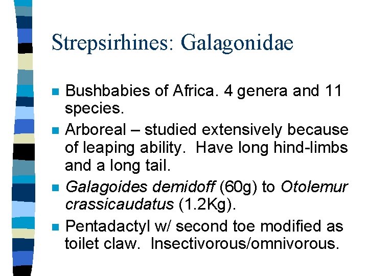 Strepsirhines: Galagonidae n n Bushbabies of Africa. 4 genera and 11 species. Arboreal –