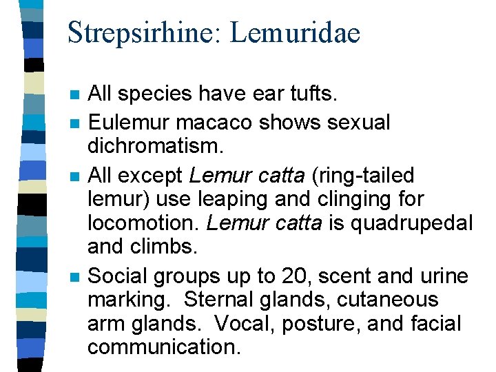 Strepsirhine: Lemuridae n n All species have ear tufts. Eulemur macaco shows sexual dichromatism.