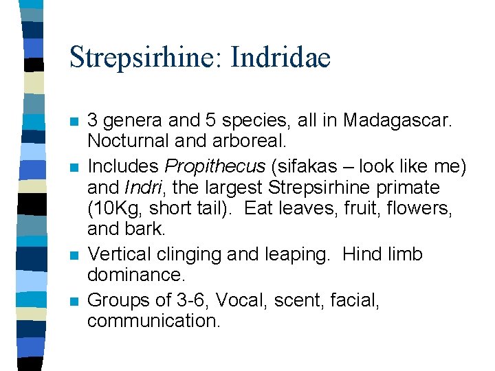 Strepsirhine: Indridae n n 3 genera and 5 species, all in Madagascar. Nocturnal and