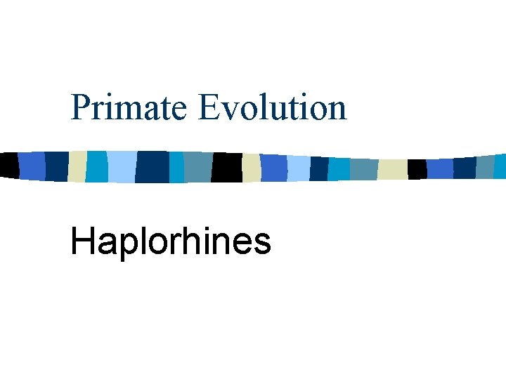 Primate Evolution Haplorhines 